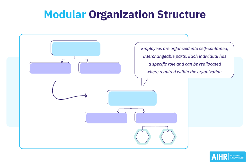 Modular Organization Structure